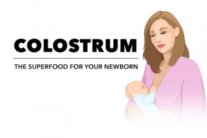 colostrum-Illustration-woman-breastfeeding | American Pregnancy Association