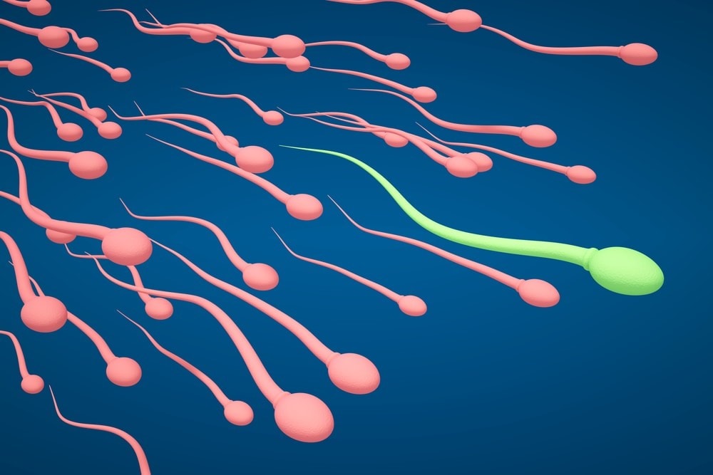 Male Fertility Testing
