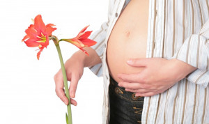 6 weeks pregnant | American Pregnancy Association