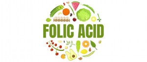 folic acid | American Pregnancy Association