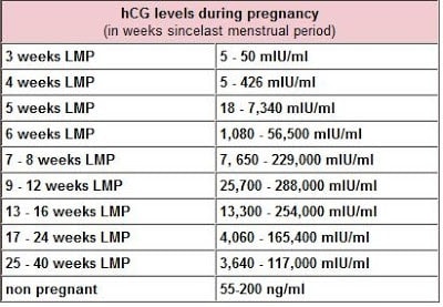 HCG-levels | American Pregnancy Association