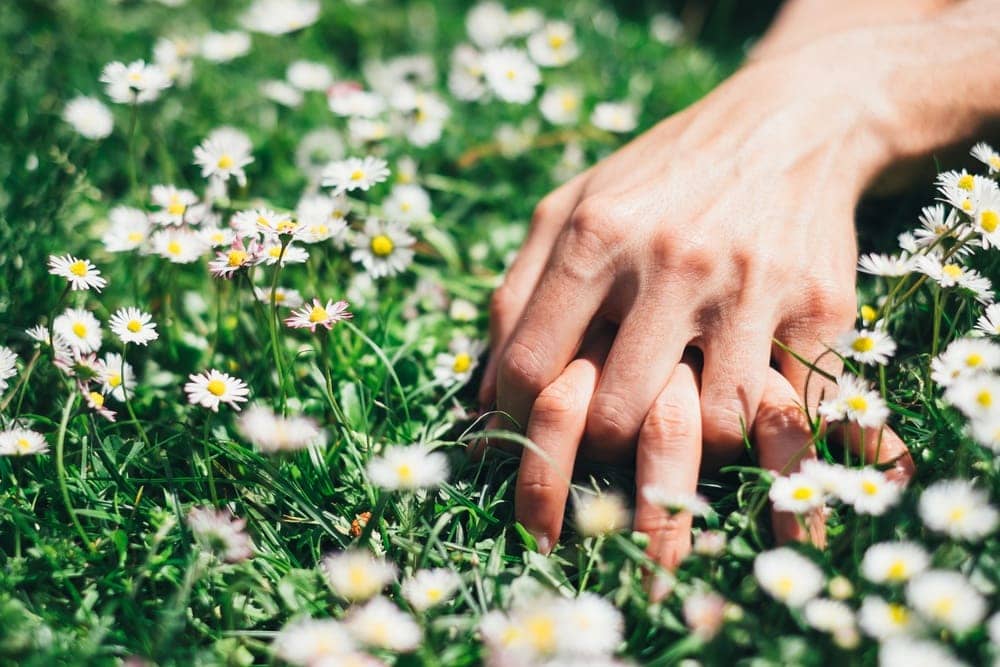 how-to-get-pregnant-naturally-couple-holding-hands-outside-daisies | American Pregnancy Association