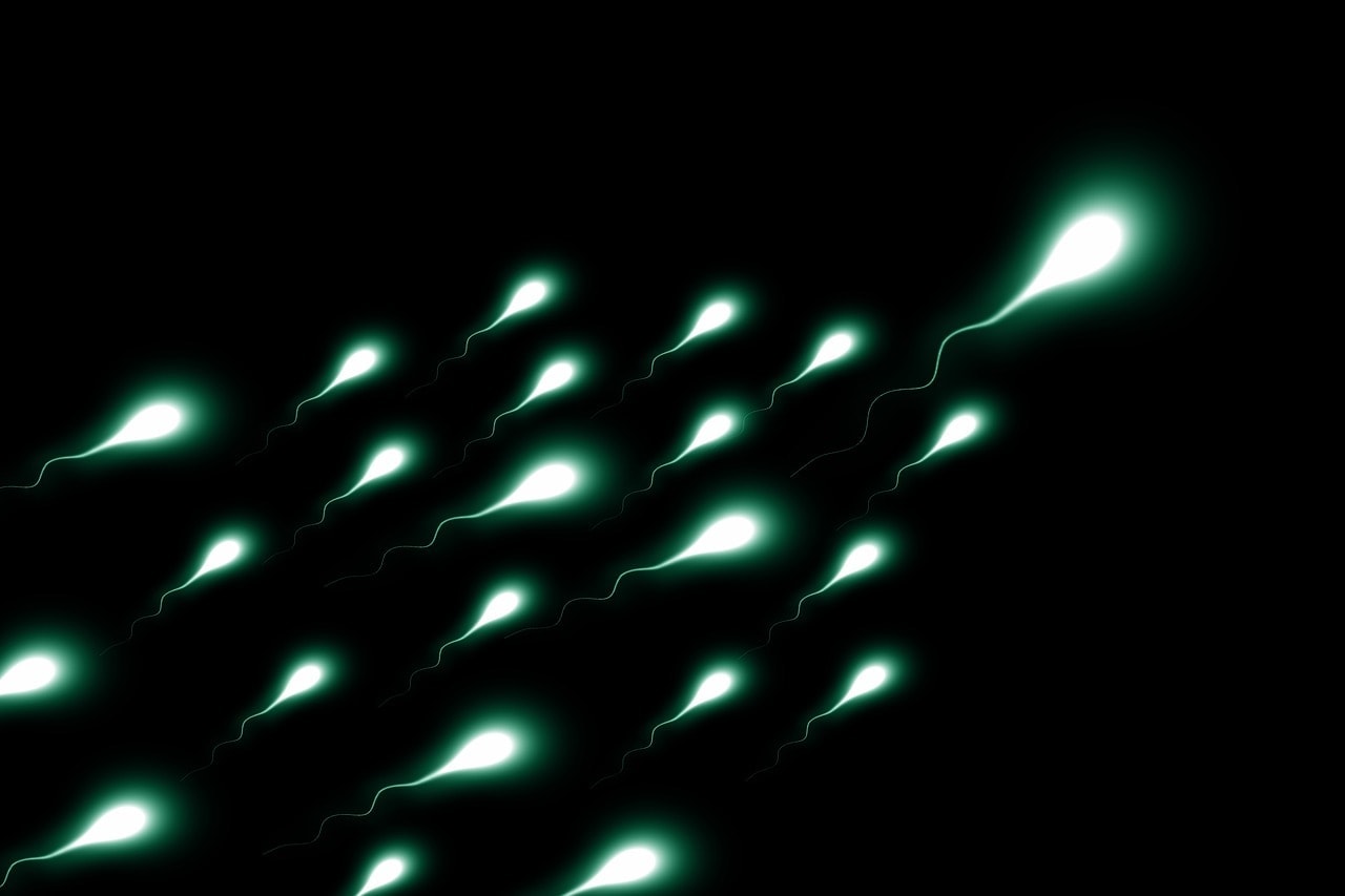 Sperm-Friendly-Lubricant | American Pregnancy Association